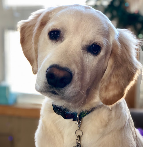 Cathy Moore Photo 20 Cathy Moore Photo 20