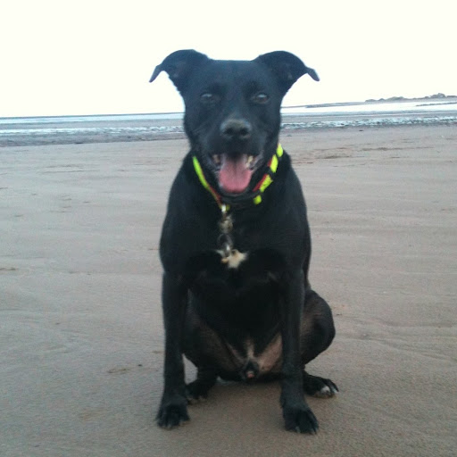 Sharon Fordham Photo 25