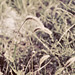 Jennifer Arms Photo 24