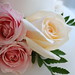 Stephanie Helms Photo 9