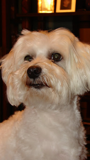 Jerry Richardson Photo 31