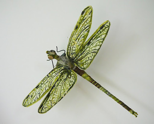 Anne Duncan Photo 47