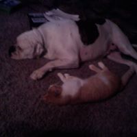 Emma Mccombs Photo 8