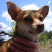 Debbie Reagan Photo 14