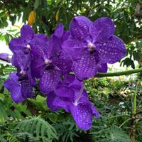 Meaghan Miller Photo 38