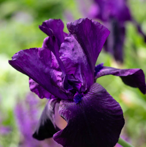 Melissa Kirby Photo 13