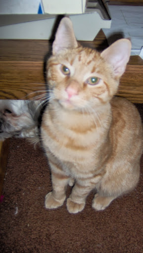 Phyllis Garner Photo 23