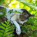 David Green Photo 5