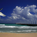 Carmen Alas Photo 16