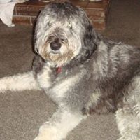 Jeffery Harvey Photo 11