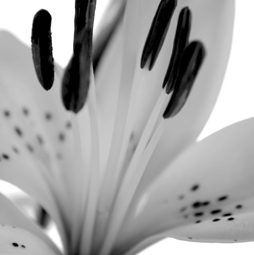 Ramona Moore Photo 31