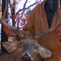 Allen Wolfe Photo 15