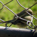 Barbara Gray Photo 36
