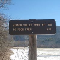 Beverly Guthrie Photo 29