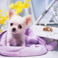 Lisa Guthrie Photo 46 Lisa Guthrie Photo 46