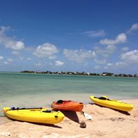 Kim Mccarty Photo 28