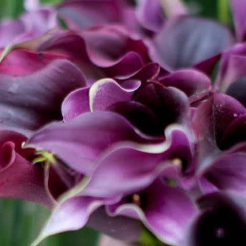 Christine Boswell Photo 7