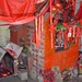 Deborah Hodges Photo 24