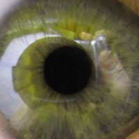 Jeff Lightfoot Photo 15