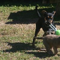 June Rich Photo 16 June Rich Photo 16