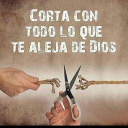 Alfredo Valdivia Photo 13
