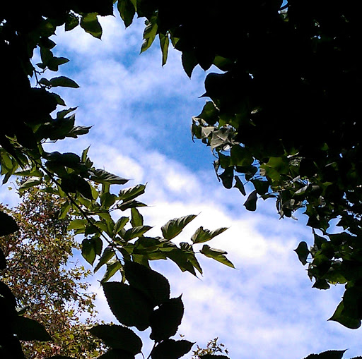 Elizabeth Mayer Photo 31