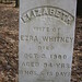 Elizabeth Ingle Photo 7