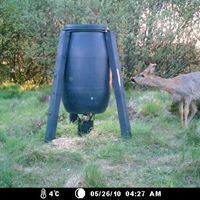 Michael Nielsen Photo 19