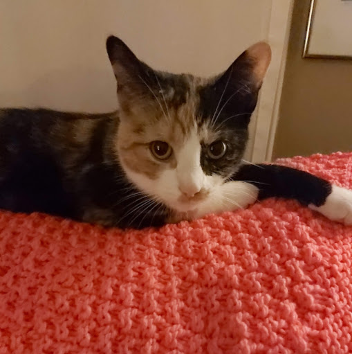 Sandra Duke Photo 13