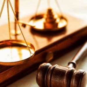 Henry Klein Photo 12