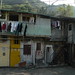 Michael Leis Photo 20