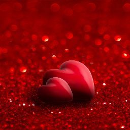 Nisha Prasad Photo 14