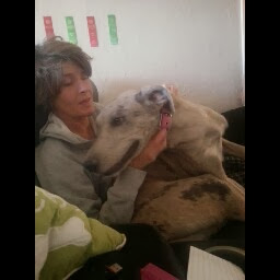 Vicki Brook Photo 12