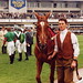 Harvey Richards Photo 35