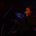 Steven Royal Photo 12