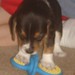 Fred Teeters Photo 7