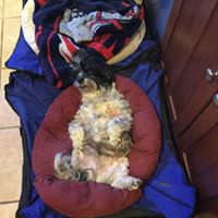 Douglas Donahue Photo 13