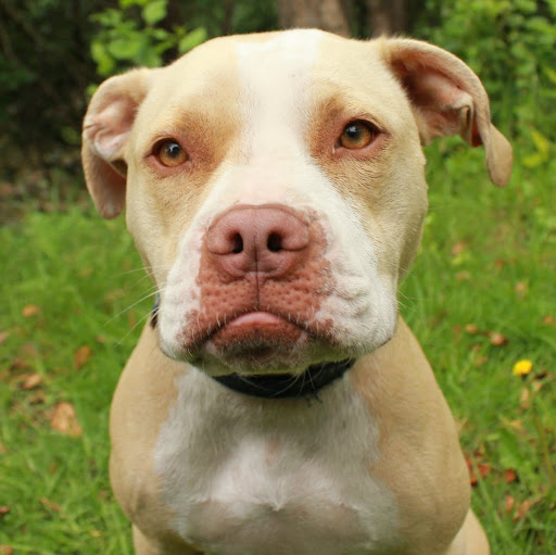 Jill Solomon Photo 31