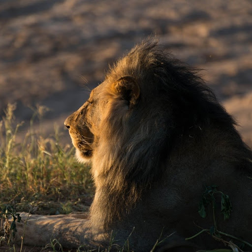 Kevin Donovan Photo 34 Kevin Donovan Photo 34