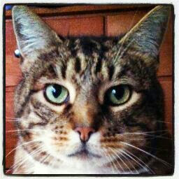 Theresa Mcgrath Photo 2