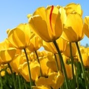 George Samson Photo 40