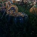 Vickie Glass Photo 24