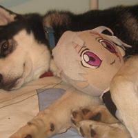 David Jerman Photo 14