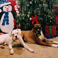 Diana Vaughn Photo 13