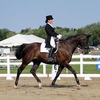 Rachel Webber Photo 18