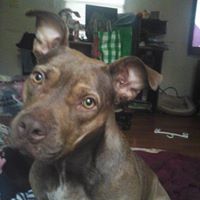 Darlene Scott Photo 35