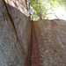 Cliff Carter Photo 18