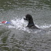 Connie Hinds Photo 17