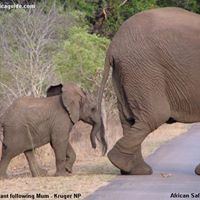 Anne Singleton Photo 35