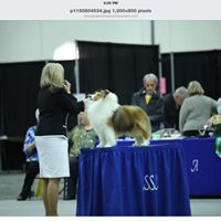 Terry Jennings Photo 27